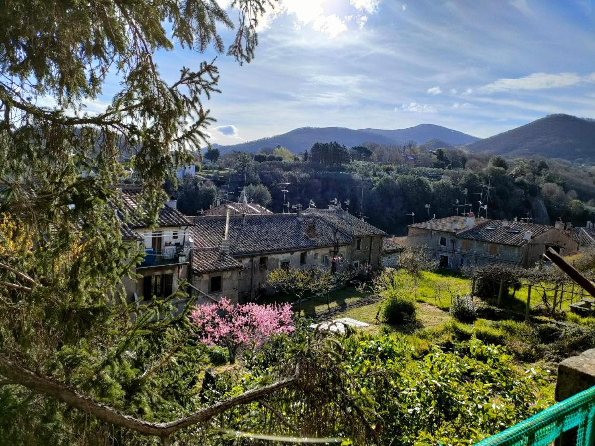 Villa Lante Viterbo Apartment Екстериор снимка